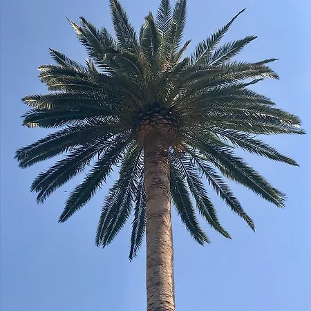 דירה Sanllehi